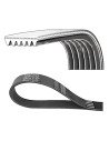 DAYCO 6PK1137 CORREA POLIV DE ACCESORIOS