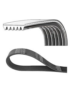 DAYCO 6PK1565 CORREA POLIV DE ACCESORIOS