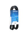DONGIL 8PK1600 CORREA POLIV DE ACCESORIOS