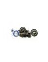 DAYCO KTB257 KIT DE CORREA DE DISTRIBUCIÓN