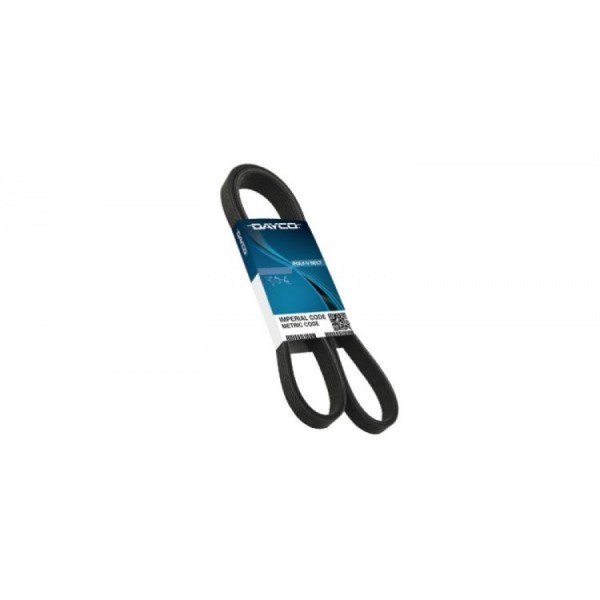 DAYCO CORREA TIPO V 22645