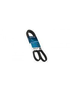 DAYCO CORREA TIPO V 22755