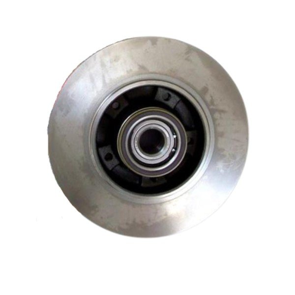 DISCO FR.T MOT FL-MG 8660001615