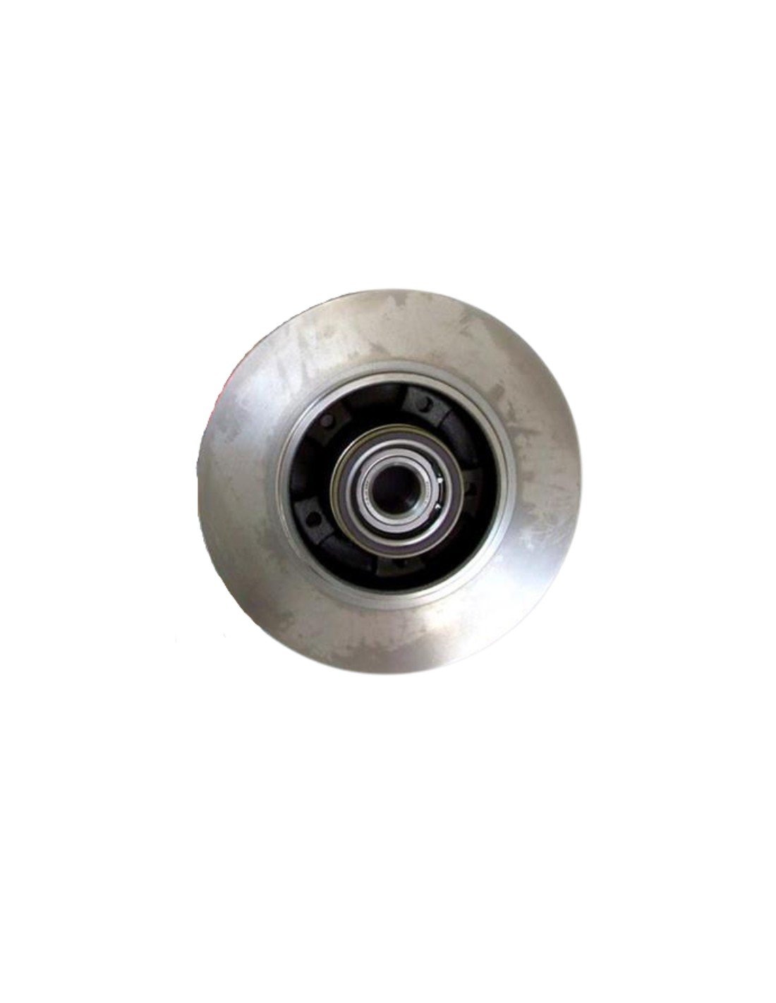 DISCO FR.T MOT FL-MG 8660001615