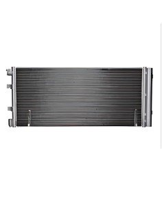 CONDENSADOR NM MOTRIO 8660006091