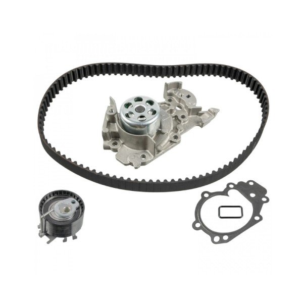 KIT DISTRIB MOTR TW4 8660005800