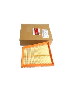 FILTRO AIR MOTRIO M3 8660003752