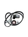 JGO CORREA MOTR ACCES SAS 8660004402