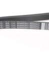RENAULT - Correa Alternador - Clio - Megane -Symbol (8200833541)